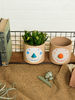 YO!GREEN|YO!GREEN|男款|礼品|YO!GREEN 限定新年礼物smileypot笑脸花盆_橙鼻子